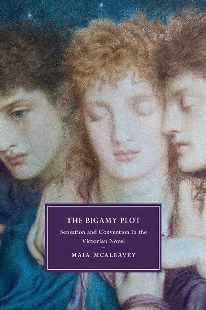 The Bigamy Plot: Sensation And Convention Victorian Novel