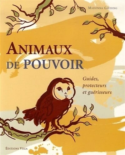 Animaux de pouvoir: guides