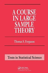 A Course Large Sample Theory