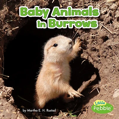 Baby Animals Burrows