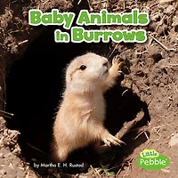 Baby Animals Burrows