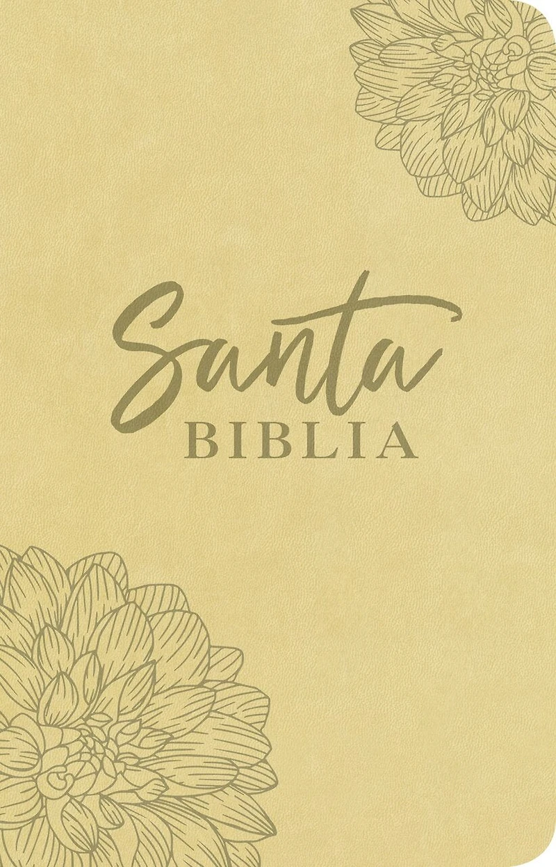 Santa Biblia NTV, Edición ágape (SentiPiel, Gris)