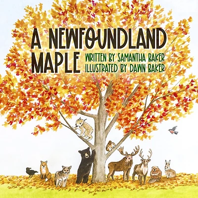 A Newfoundland Maple