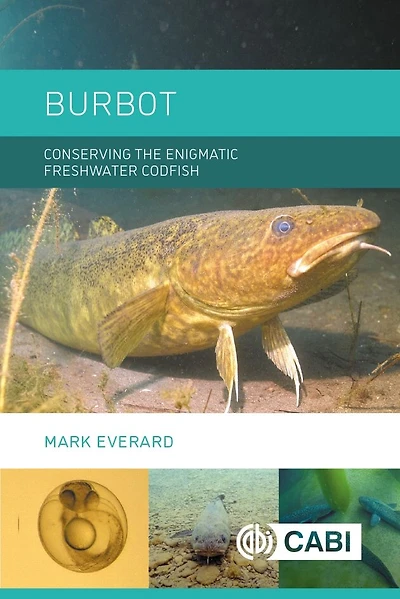 Burbot: Conserving The Enigmatic Freshwater Codfish