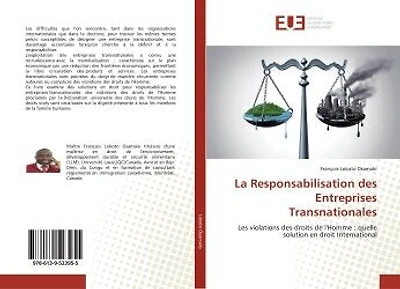 La Responsabilisation des Entreprises Transnationales: Les violations des droits de l'Homme