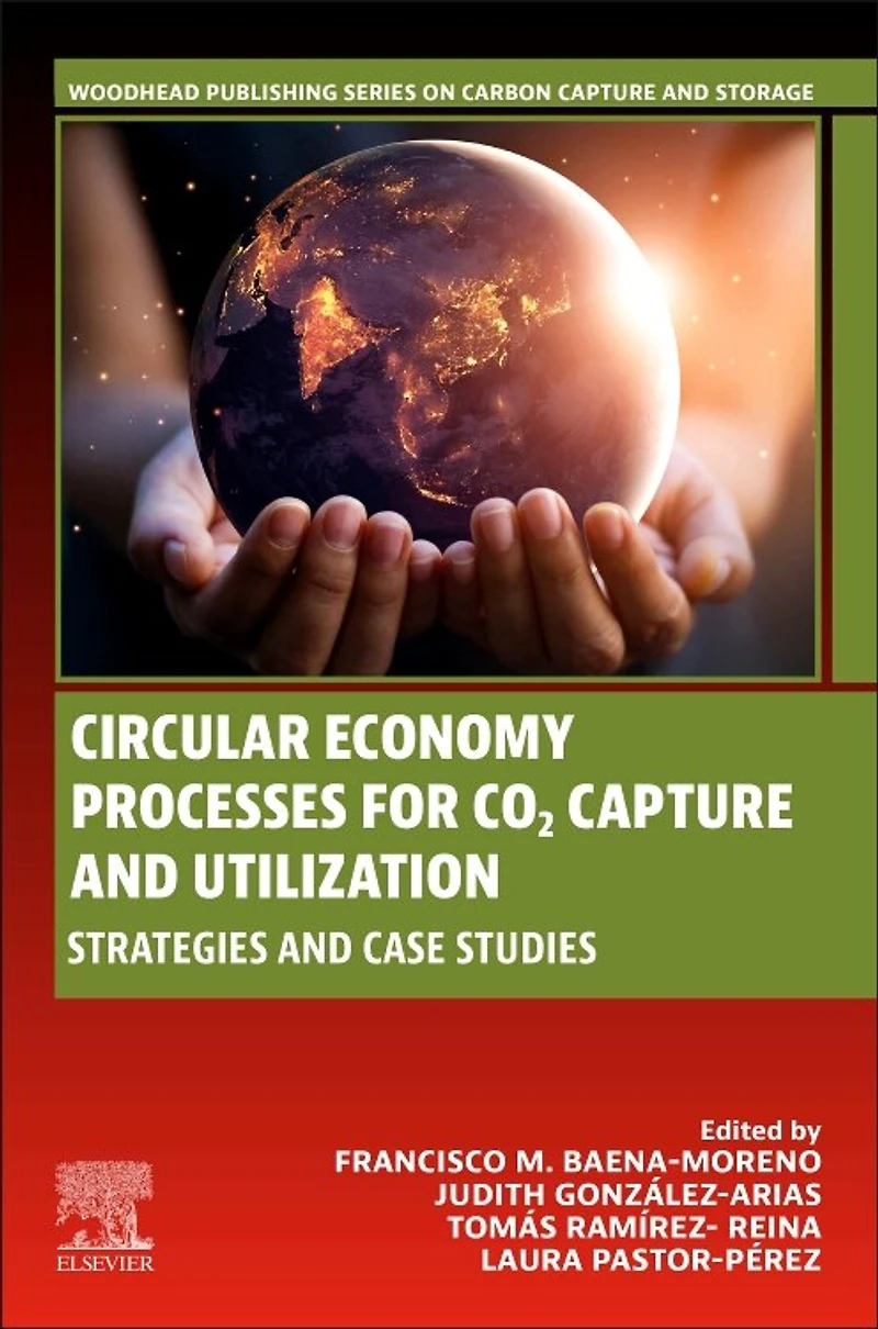 Circular Economy Processes for CO2 Capture and Utilization: Strategies Case Studies