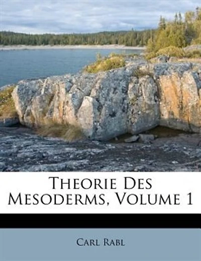 Theorie Des Mesoderms, Volume 1