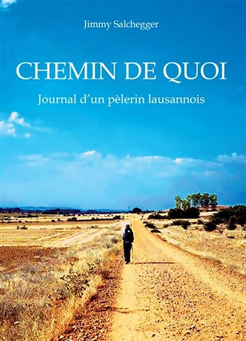 Chemin de quoi: Journal d'un pèlerin lausannois