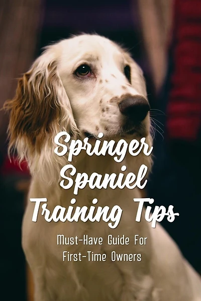 Springer Spaniel Training Tips: Must-Have Guide For First-Time Owners: English Springer Spaniel Temperament