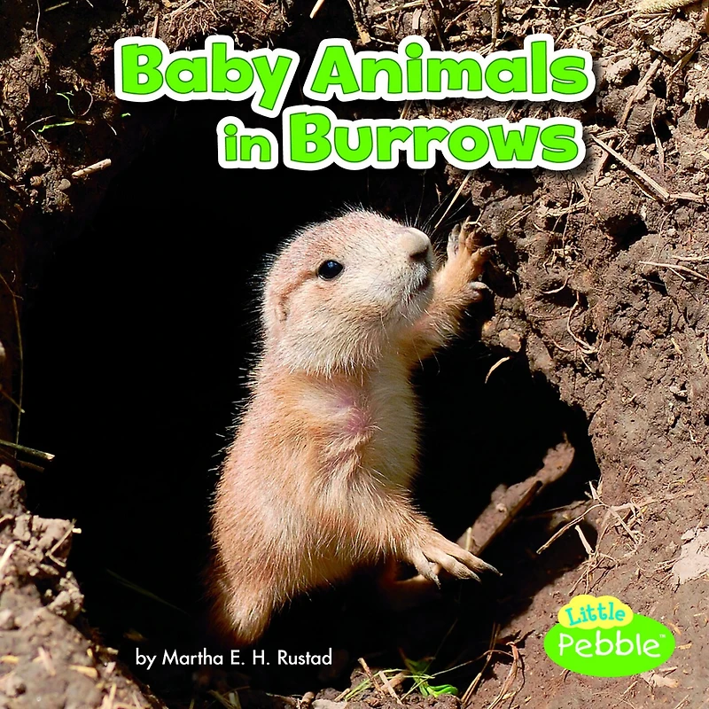 Baby Animals Burrows