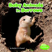 Baby Animals Burrows