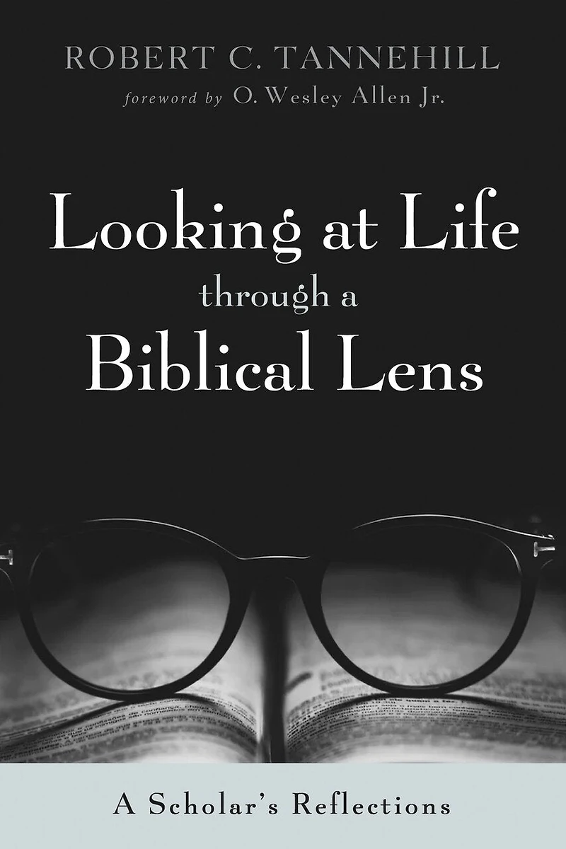 Looking at Life Through A Biblical Lens: Scholar's Reflections