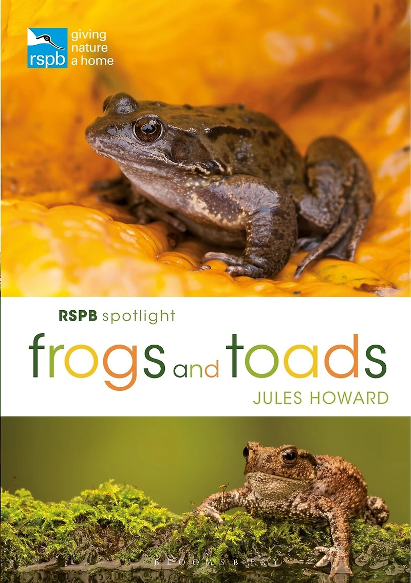 RSPB Spotlight Frogs and Toads