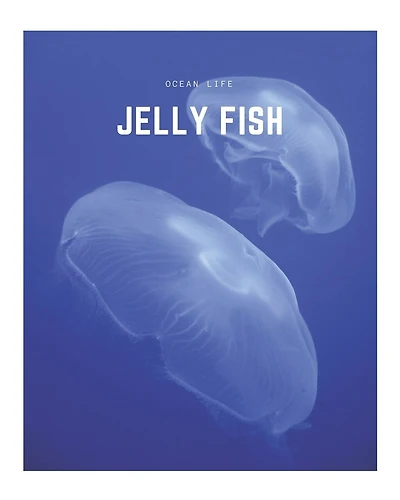 Jelly Fish: A Decorative Book │ Perfect for Stacking on Coffee Tables & Bookshelves │ Customized Interior Design & Home Decor