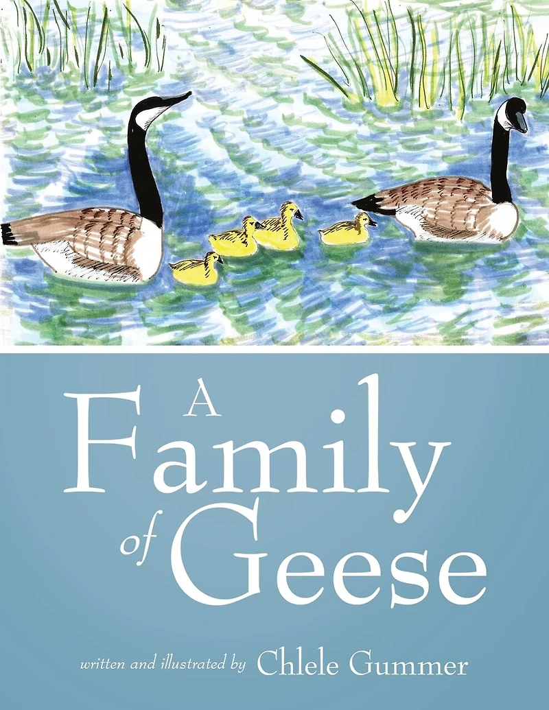 A Family Of Geese