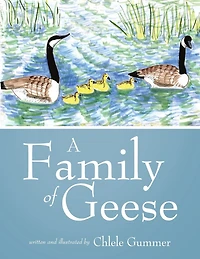 A Family Of Geese