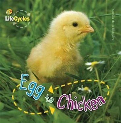 Egg To Chicken
