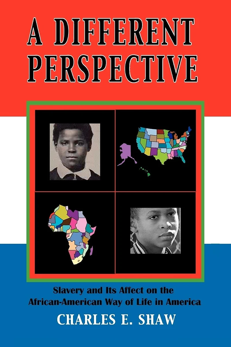 A Different Perspective: Slavery and It's Affect on the African-American Way of Life America