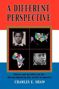 A Different Perspective: Slavery and It's Affect on the African-American Way of Life America