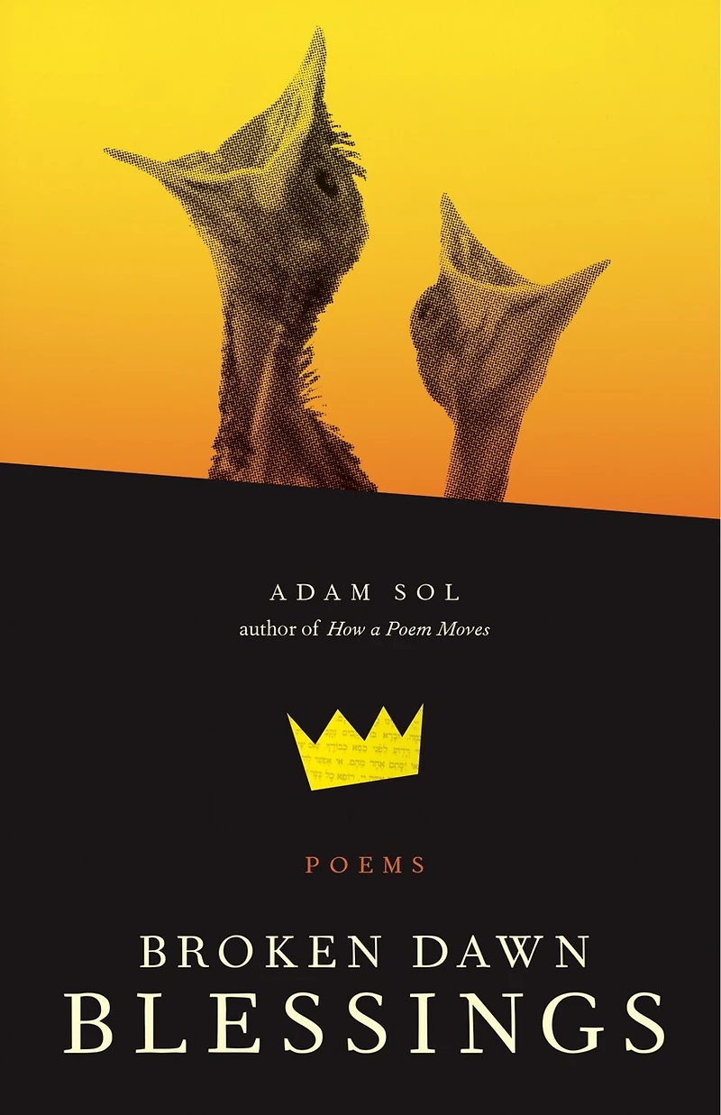Broken Dawn Blessings: Poems