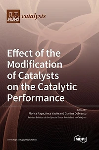 Effect of the Modification of Catalysts on the Catalytic Performance