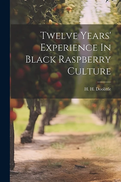 Twelve Years' Experience In Black Raspberry Culture
