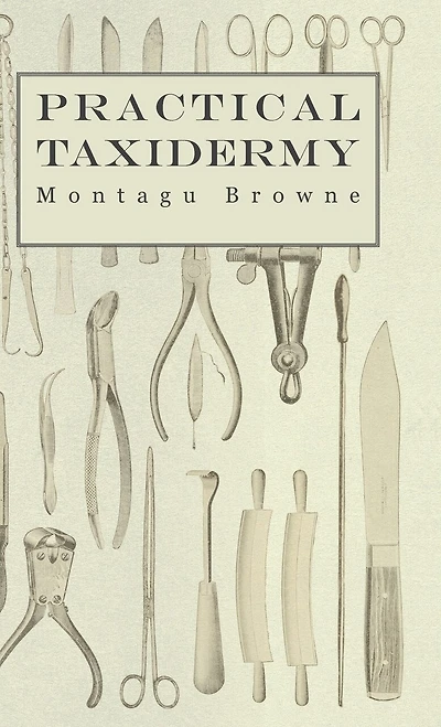 Practical Taxidermy - a Manual of Instruction To the Amateur Collecting, Preserving, and Setting up Natural History Specimens All Kinds. Which is Added Chapter Upon Pictorial Arrangement Museums