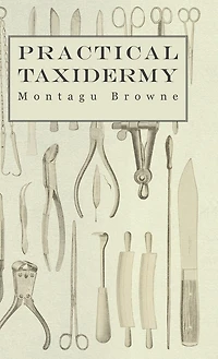 Practical Taxidermy - a Manual of Instruction To the Amateur Collecting, Preserving, and Setting up Natural History Specimens All Kinds. Which is Added Chapter Upon Pictorial Arrangement Museums