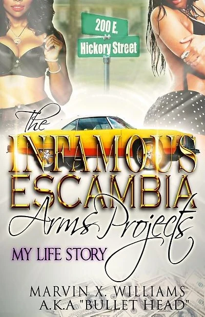 The Infamous Escambia Arms Projects: My Life Story
