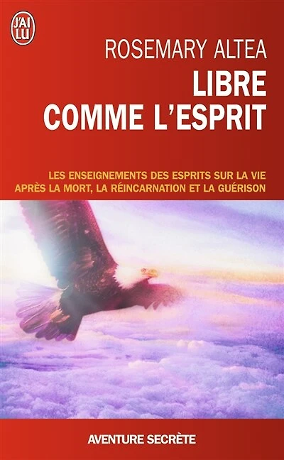 Libre comme l'esprit : les enseignements des esprits sur la vie après la mort, la réincarnation et la guérison: les enseignements des esprits sur la vie après la mort, la réincarnation et la guérison