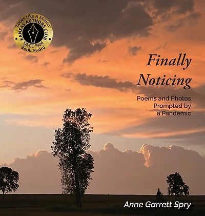 Finally Noticing: Poems and Photos Prompted by a Pandemic