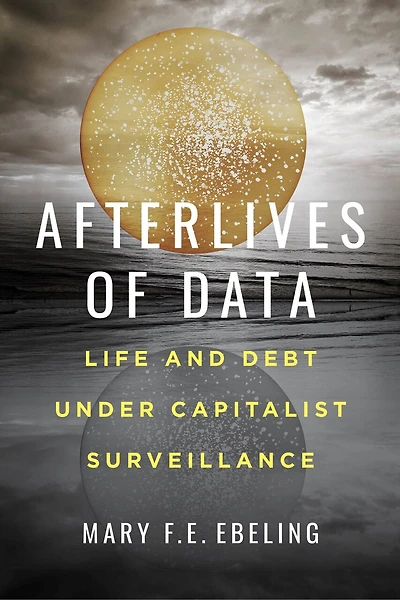 Afterlives Of Data: Life And Debt Under Capitalist Surveillance