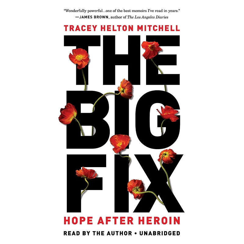 The Big Fix: Hope After Heroin