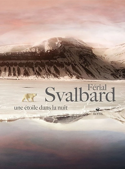 Svalbard: une étoile dans la nuit