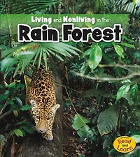 Living and Nonliving the Rain Forest