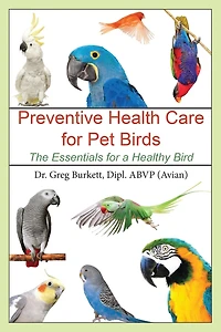 Preventative Health Care for Pet Birds: The Essentials a Healthy Bird
