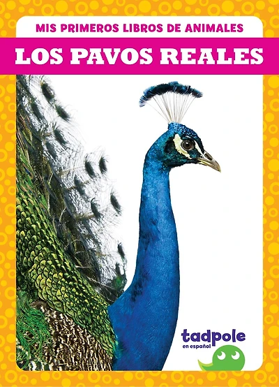 Los Los Pavos Reales (Peacocks)
