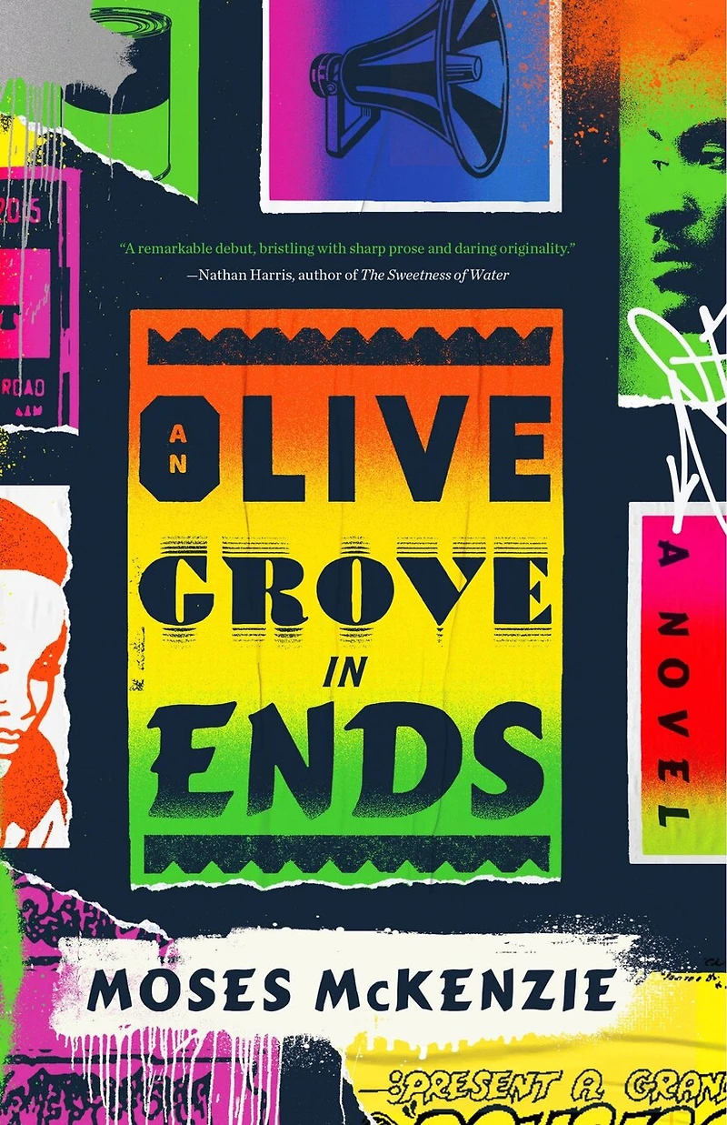 An Olive Grove Ends: A Novel