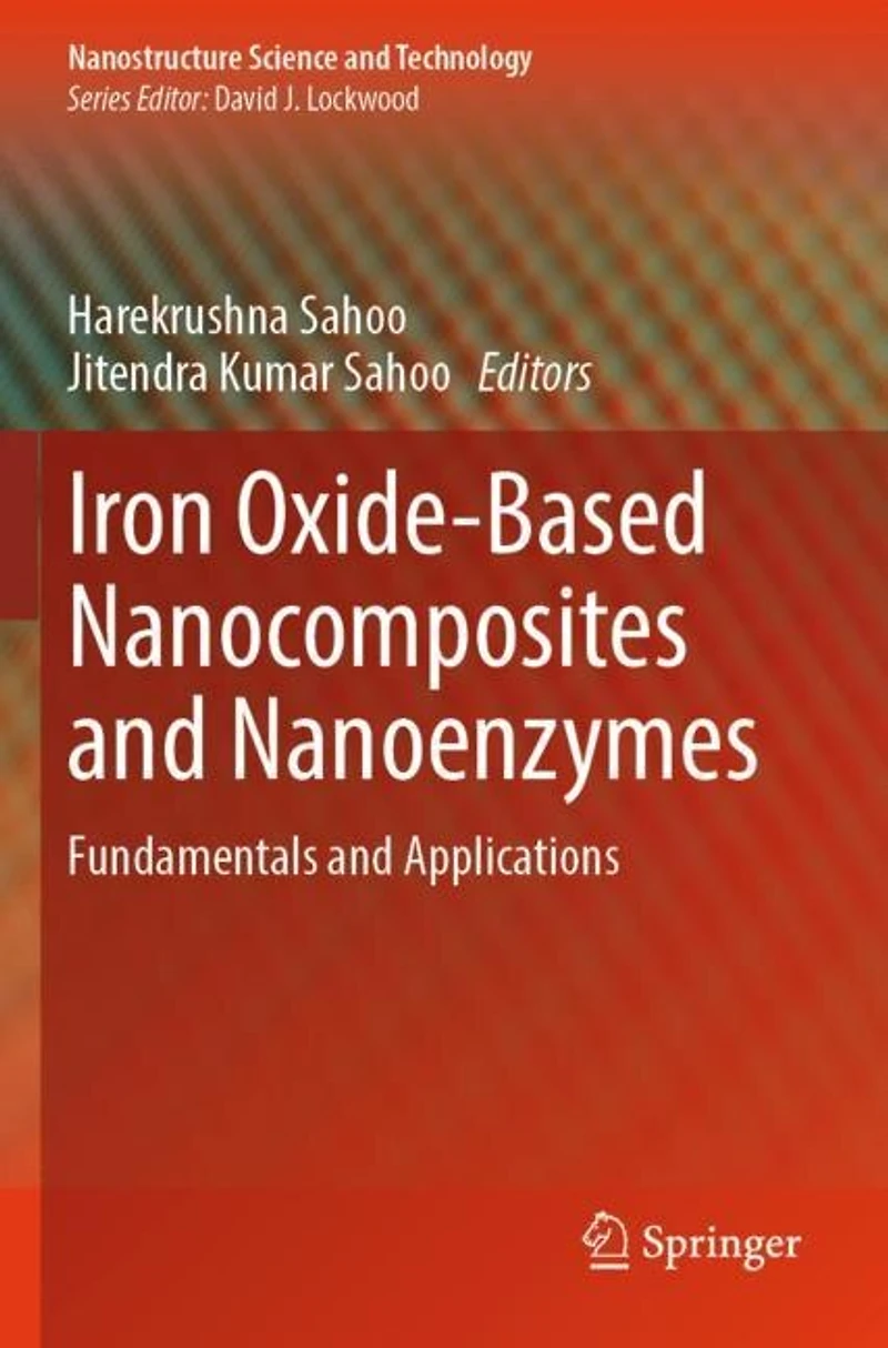 Iron Oxide-Based Nanocomposites and Nanoenzymes: Fundamentals and Applications