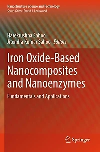Iron Oxide-Based Nanocomposites and Nanoenzymes: Fundamentals and Applications