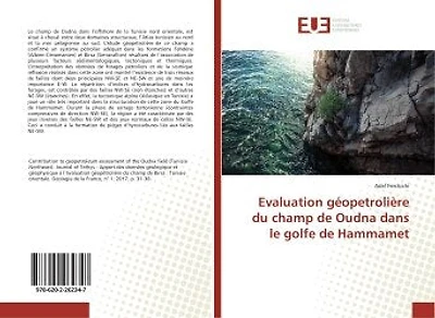 Evaluation géopetrolière du champ de Oudna dans le golfe de Hammamet