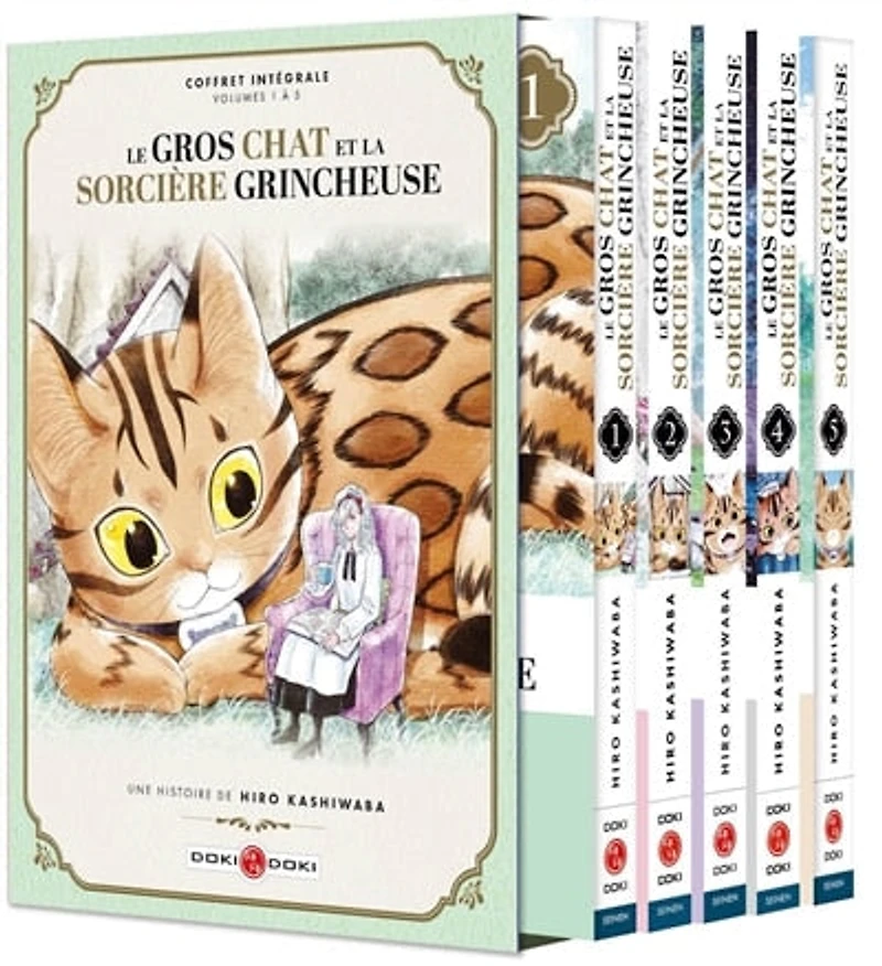 Le gros chat et la sorcière grincheuse: coffret intégrale, volumes 1 à 5