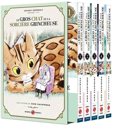 Le gros chat et la sorcière grincheuse: coffret intégrale, volumes 1 à 5