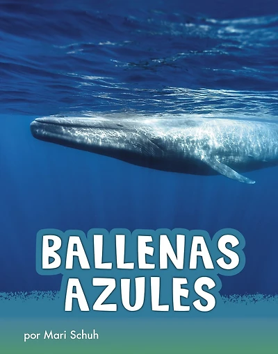 Ballenas azules (Blue Whales)