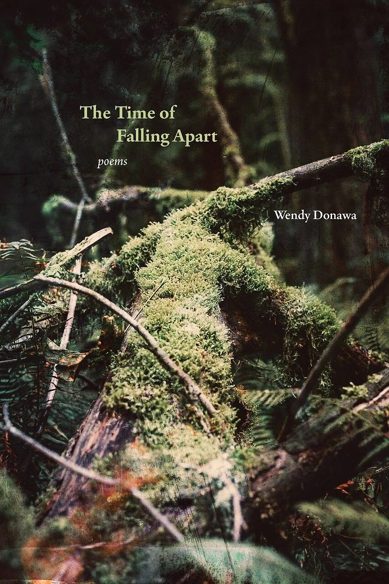 The Time of Falling Apart: Poems