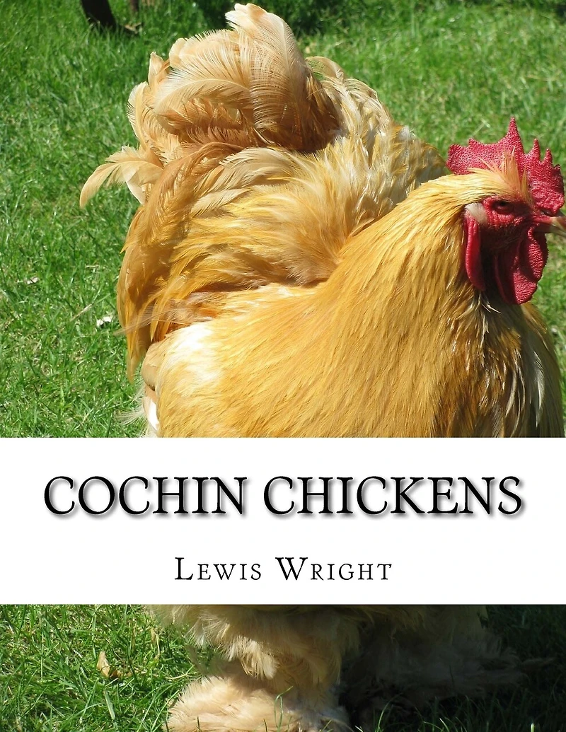 Cochin Chickens: From The Book of Poultry