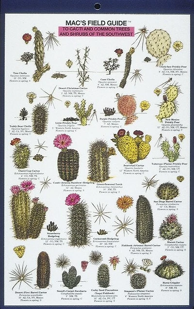 Mac's Field Guides: Southwest Cacti, Shrubs, Trees