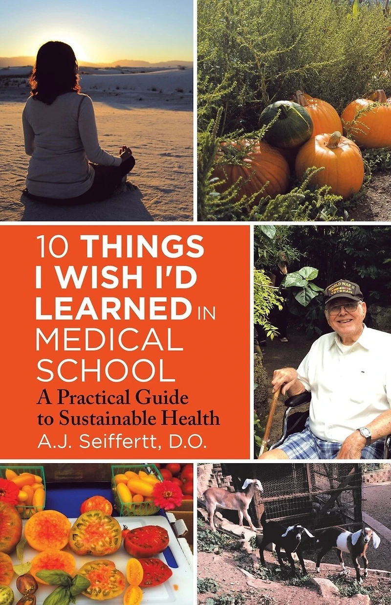 10 Things I Wish I'd Learned Medical School: A Practical Guide to Sustainable Health