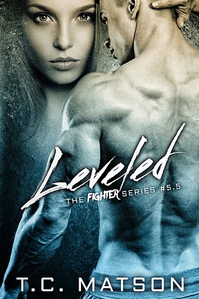 Leveled: The Fighter Series #5.5