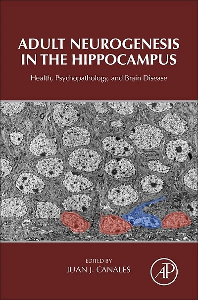 Adult Neurogenesis The Hippocampus: Health, Psychopathology, And Brain Disease